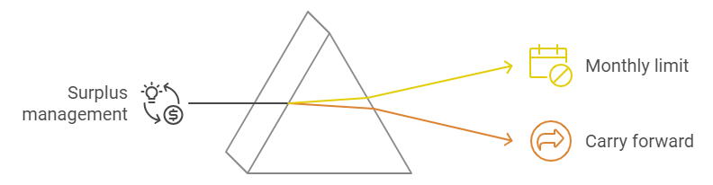 Diagram showing surplus management for electricity prosumers with arrows pointing to two options: Monthly limit and Carry forward.
